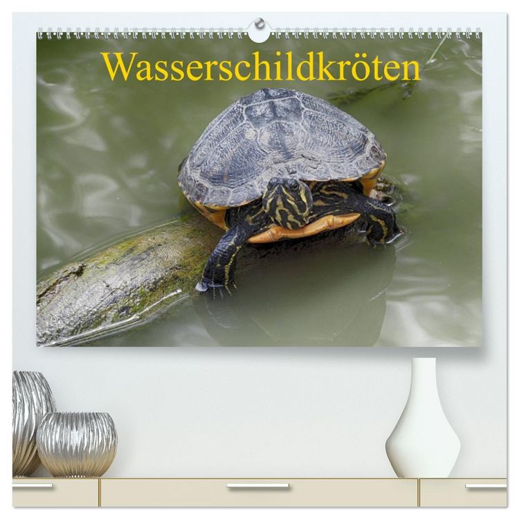 Produktbild: Wasserschildkr&ouml;ten (hochwertiger Premium Wandkalender 2026 DIN A2 quer), Kunstdruck in Hochglanz