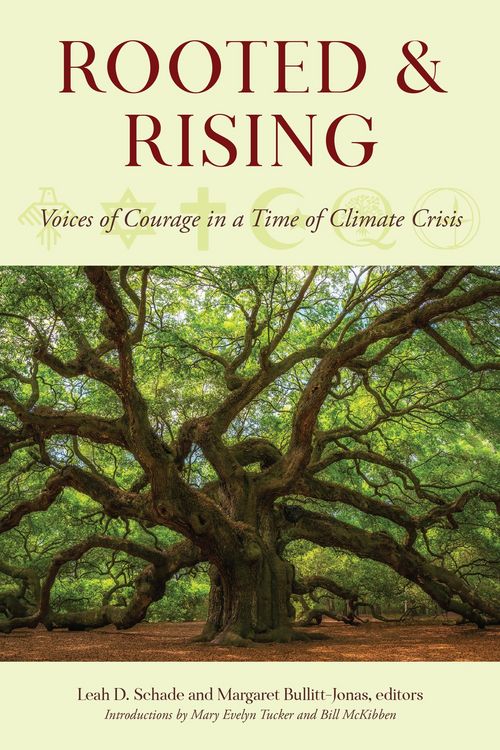 Produktbild: Rooted and Rising