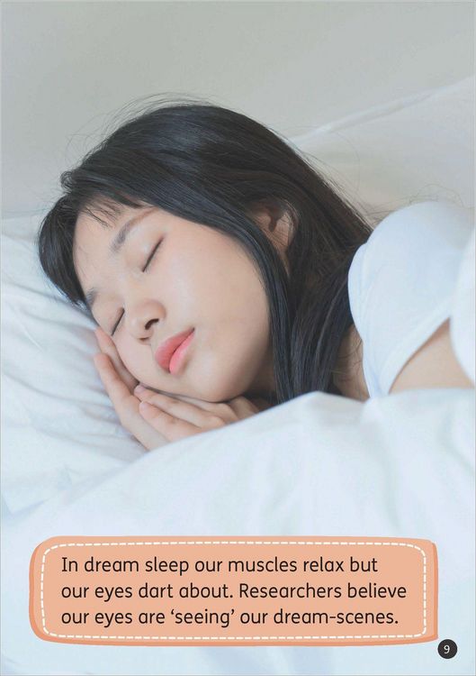Produktbild: Set 12 - The Science of Dreaming