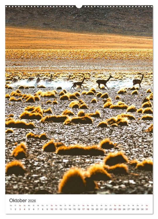 Produktbild: Chile - Ein unentdecktes Paradies. (hochwertiger Premium Wandkalender 2026 DIN A2 hoch), Kunstdruck in Hochglanz