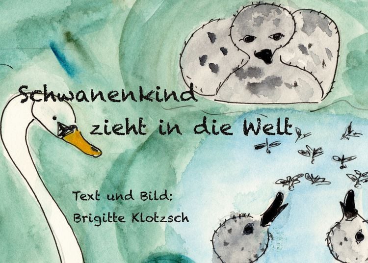 Produktbild: Schwanenkind zieht in die Welt