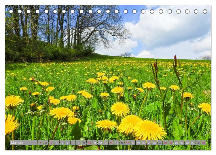 Produktbild: Wandern im Erzgebirge (Tischkalender 2026 DIN A5 quer), CALVENDO Monatskalender