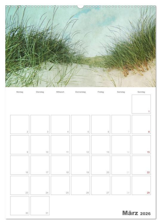 Produktbild: D&auml;nemarks Westk&uuml;ste (hochwertiger Premium Wandkalender 2026 DIN A2 hoch), Kunstdruck in Hochglanz