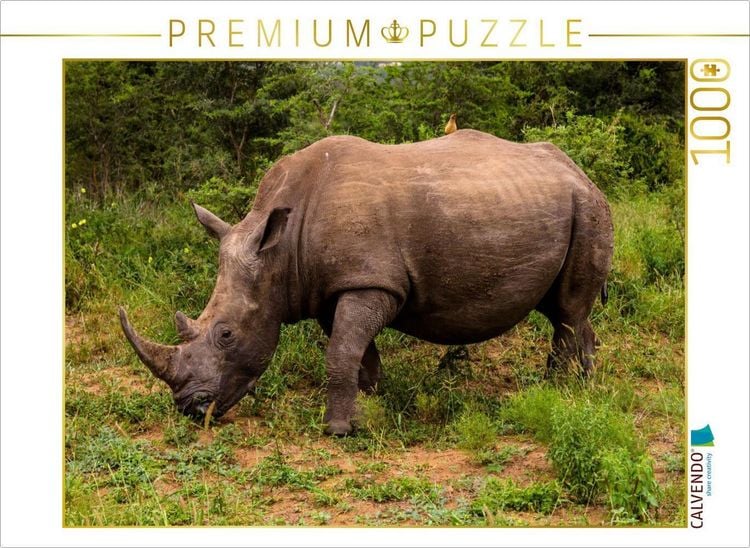 Produktbild: CALVENDO Puzzle Gr&uuml;nzeug fressen, die tagesf&uuml;llende Besch&auml;ftigung. | 1000 Teile Lege-Gr&ouml;&szlig;e 64x48cm Foto-Puzzle f&uuml;r gl&uuml;ckliche Stunden