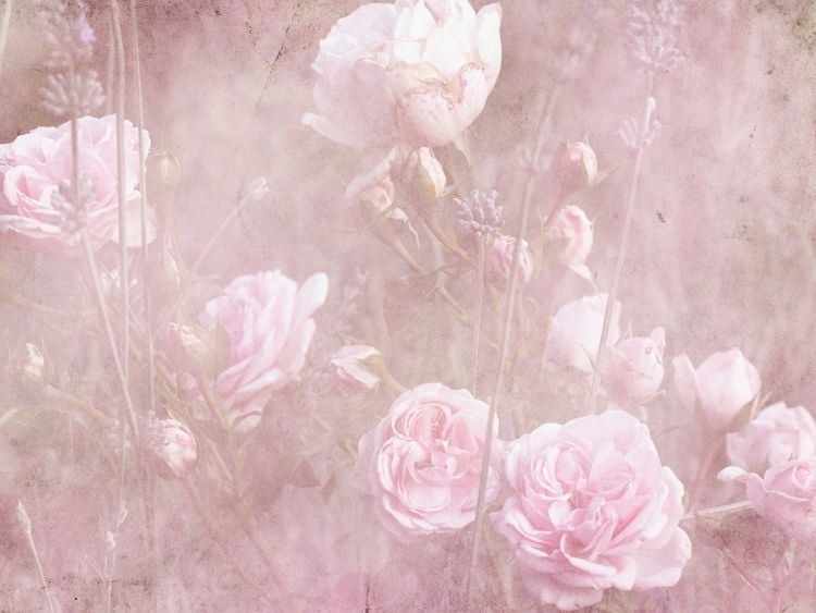 Produktbild: CALVENDO Puzzle Romantische Rosen, Vintage Style | 1000 Teile Lege-Gr&ouml;&szlig;e 64x48cm Foto-Puzzle f&uuml;r gl&uuml;ckliche Stunden