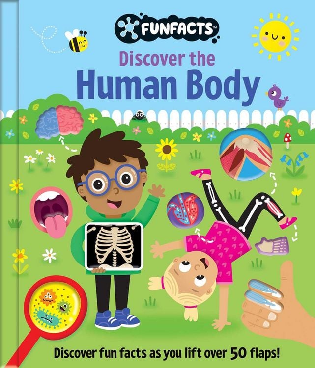 Produktbild: Discover the Human Body: Lift-The-Flap Book