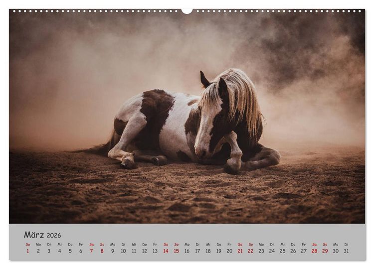Produktbild: Spiegel deiner Seele (hochwertiger Premium Wandkalender 2026 DIN A2 quer), Kunstdruck in Hochglanz