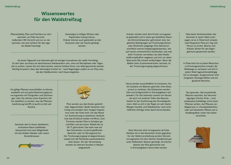 Produktbild: Die gro&szlig;e Waldapotheke