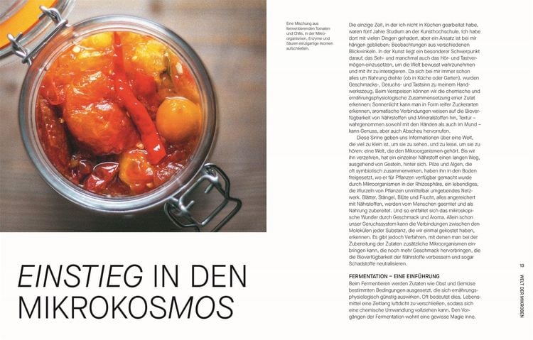 Produktbild: Fermentieren. Rezepte und Techniken f&uuml;r Geschmack, den man nicht kaufen kann