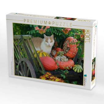 Produktbild: CALVENDO Puzzle Katze in einem Leiterwagen mit K&uuml;rbissen | 1000 Teile Lege-Gr&ouml;&szlig;e 64x48cm Foto-Puzzle f&uuml;r gl&uuml;ckliche Stunden