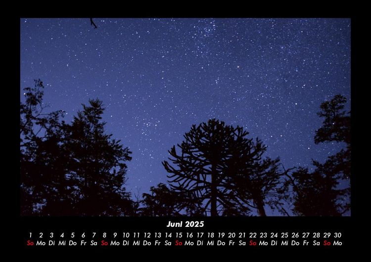 Produktbild: B&auml;ume 2025 Fotokalender DIN A3