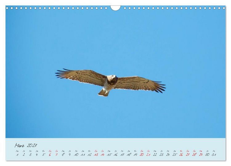 Produktbild: Wildes S&uuml;dfrankreich (Wandkalender 2027 DIN A3 quer), CALVENDO Monatskalender