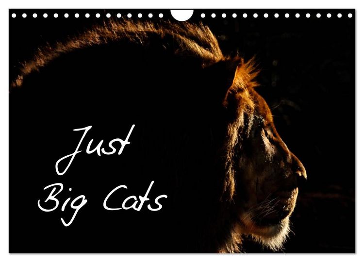 Produktbild: Just Big Cats (Wall Calendar 2026 DIN A4 landscape), CALVENDO 12 Month Wall Calendar