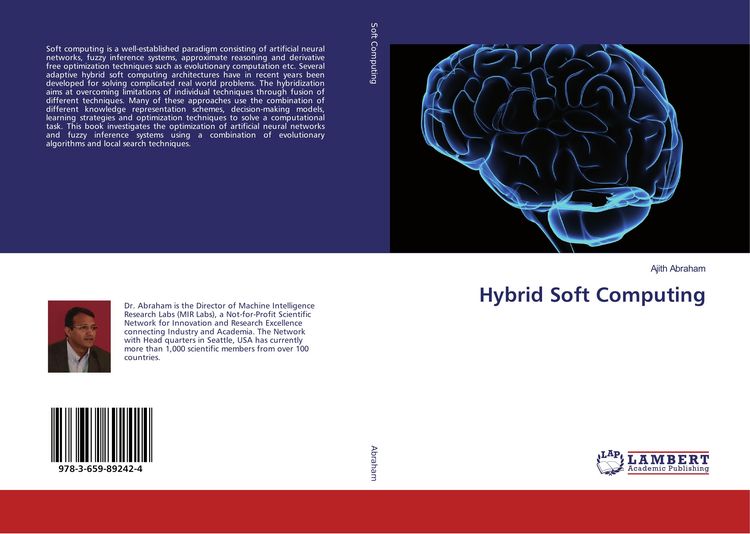 Produktbild: Hybrid Soft Computing