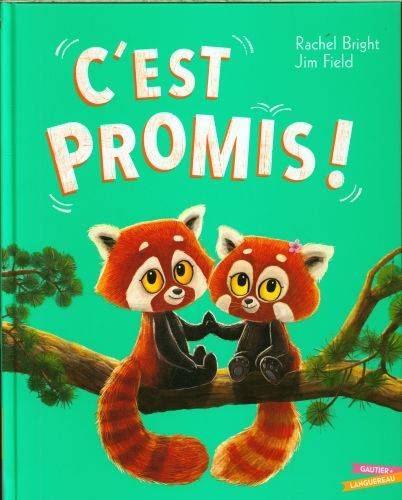Produktbild: C'est promis !