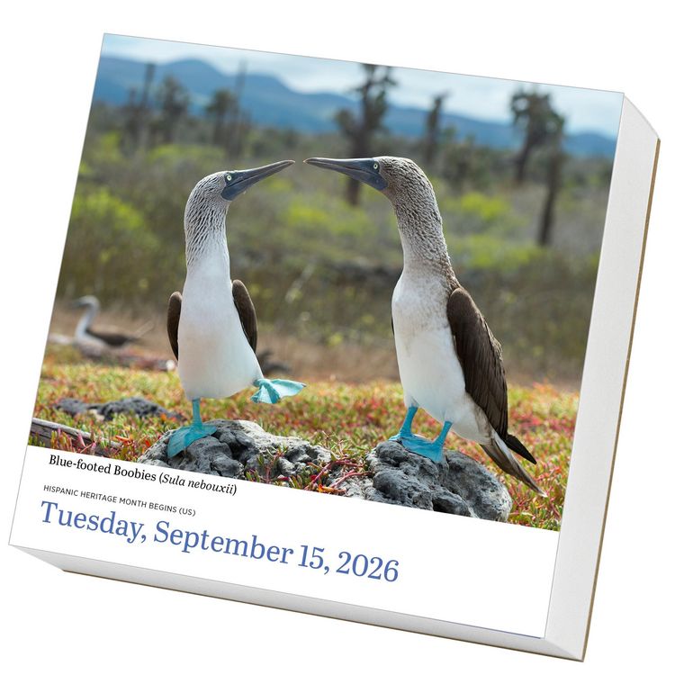 Produktbild: Audubon Birds Page-A-Day(r) Calendar 2026