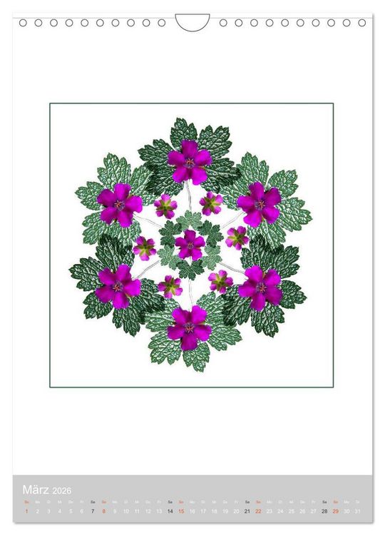 Produktbild: Pflanzen - Mandalas aus Bl&uuml;ten und Bl&auml;ttern (Wandkalender 2026 DIN A4 hoch), CALVENDO Monatskalender