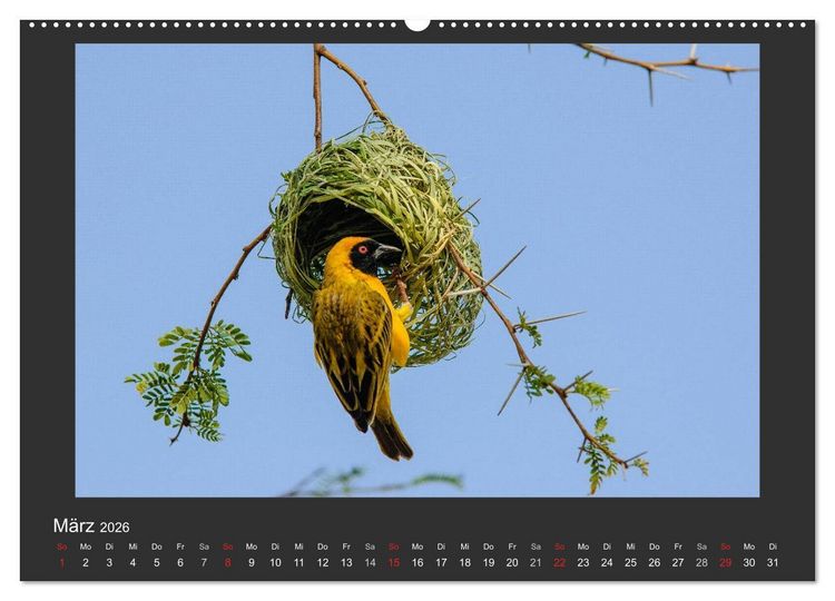 Produktbild: Facetten Namibias (hochwertiger Premium Wandkalender 2026 DIN A2 quer), Kunstdruck in Hochglanz