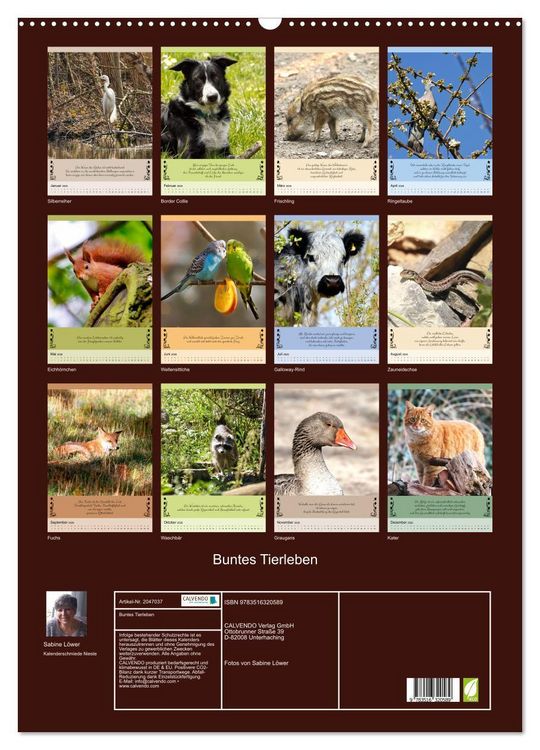 Produktbild: Buntes Tierleben (Wandkalender 2026 DIN A2 hoch), CALVENDO Monatskalender
