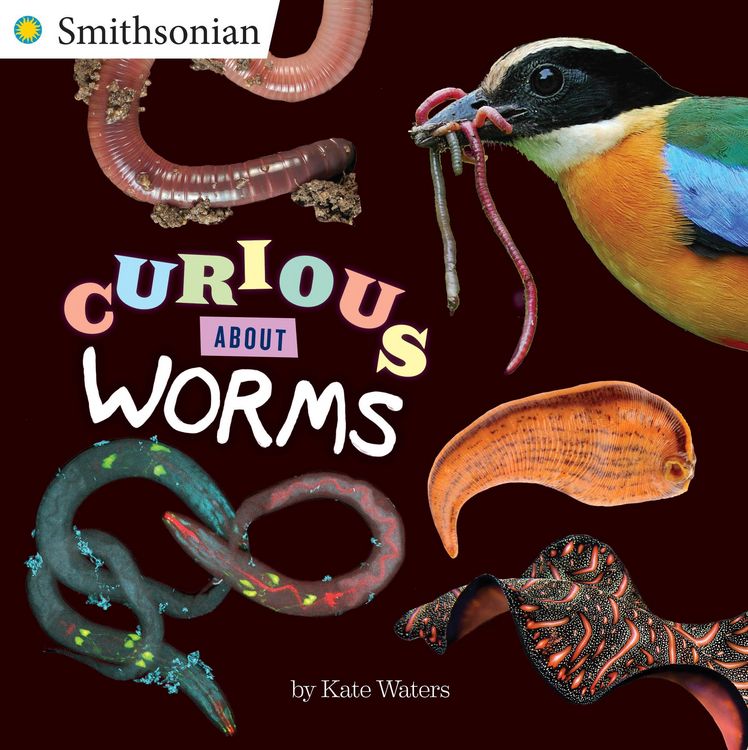 Produktbild: Curious About Worms