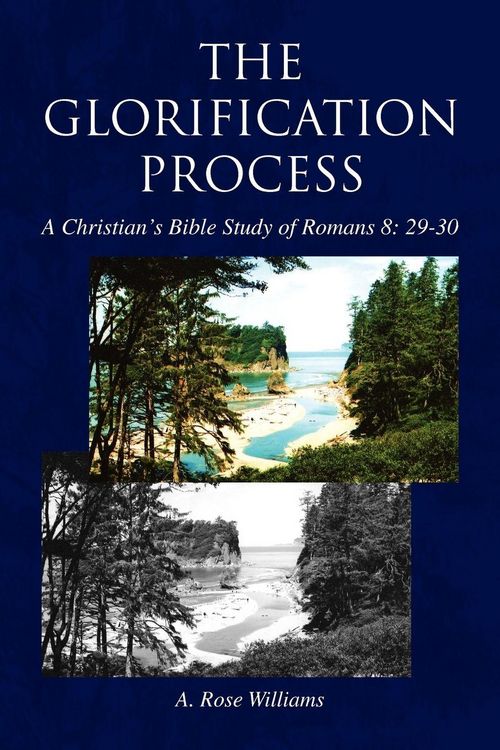 Produktbild: The Glorification Process