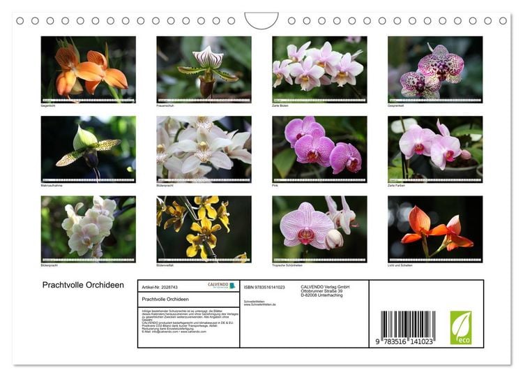 Produktbild: Prachtvolle Orchideen (Wandkalender 2026 DIN A4 quer), CALVENDO Monatskalender