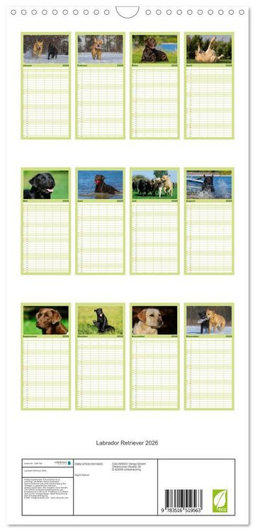 Produktbild: Familienplaner 2026 - Labrador Retriever 2026 mit 5 Spalten (Wandkalender, 21 x 45 cm) CALVENDO