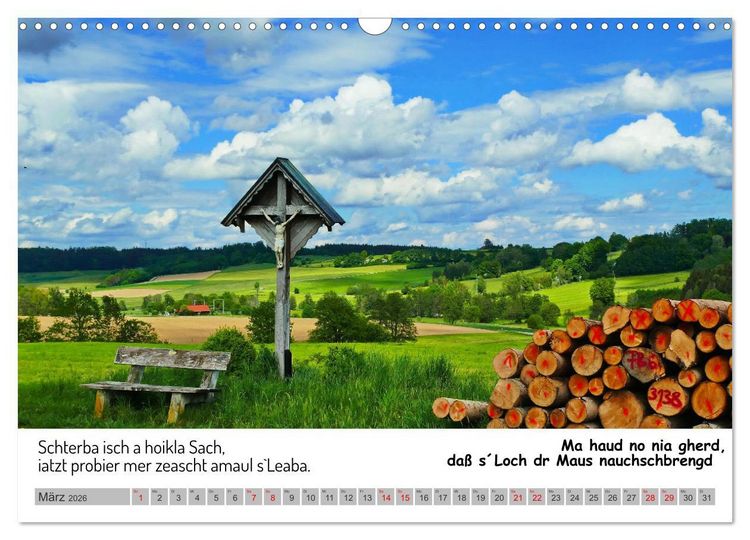Produktbild: Schw&auml;bische Sprichw&ouml;rter 1 Wi ma hald so said! (Wandkalender 2026 DIN A3 quer), CALVENDO Monatskalender
