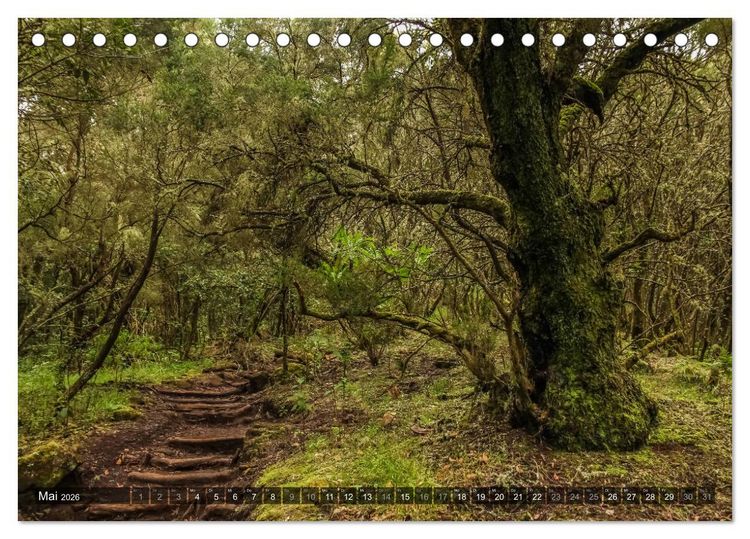 Produktbild: La Gomera 2026 - Eine Entdeckungsreise (Tischkalender 2026 DIN A5 quer), CALVENDO Monatskalender
