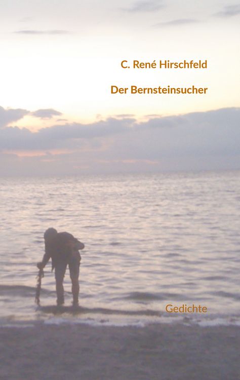 Produktbild: Der Bernsteinsucher
