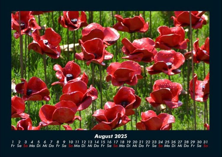 Produktbild: Pflanzen und Bl&uuml;ten 2025 Fotokalender DIN A4