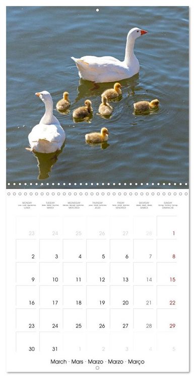 Produktbild: Stratford upon Avon - Shakespeare's Hometown (Wall Calendar 2026 12 &times; 12 Inch) CALVENDO 12 Month Wall Calendar