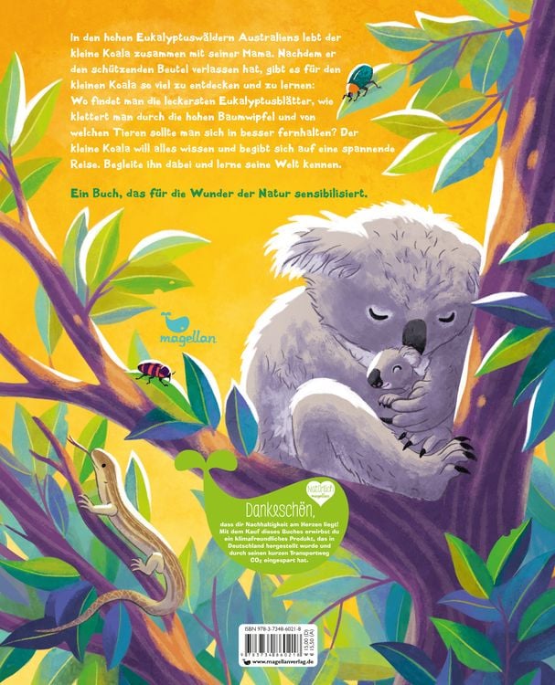 Produktbild: Der kleine Koala - Zu Hause im Eukalyptus