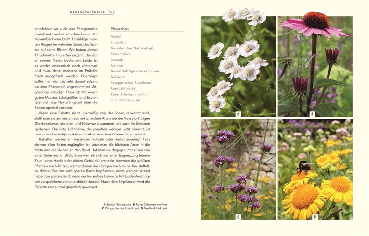 Produktbild: Wildnis im Garten
