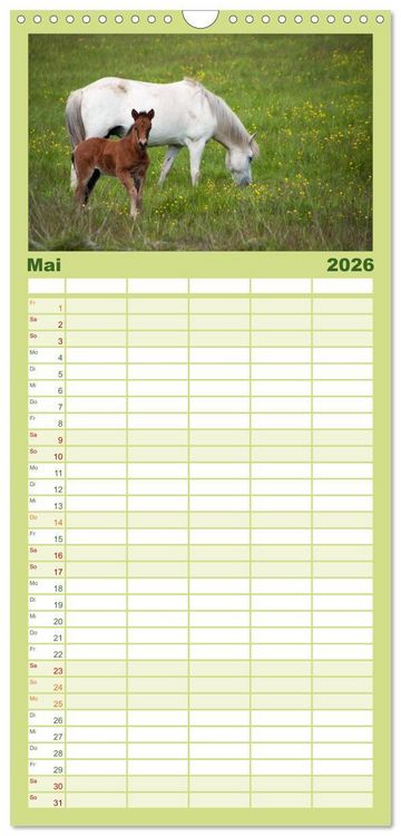 Produktbild: Familienplaner 2026 - Charakterk&ouml;pfe Islandpferde mit 5 Spalten (Wandkalender, 21 x 45 cm) CALVENDO