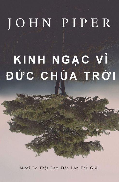 Produktbild: Kinh ng&iquest;c v&igrave; &iquest;&iquest;c Ch&uacute;a Tr&iquest;i