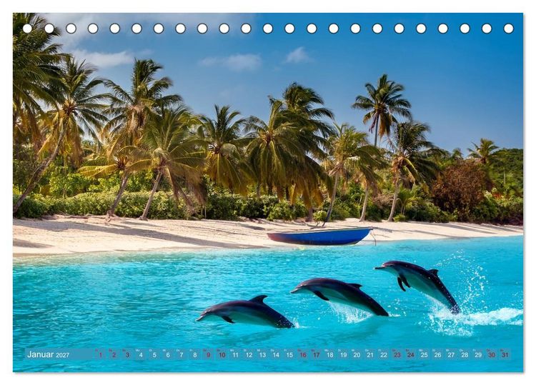 Produktbild: Delfine - tropische Begleiter (Tischkalender 2027 DIN A5 quer), CALVENDO Monatskalender