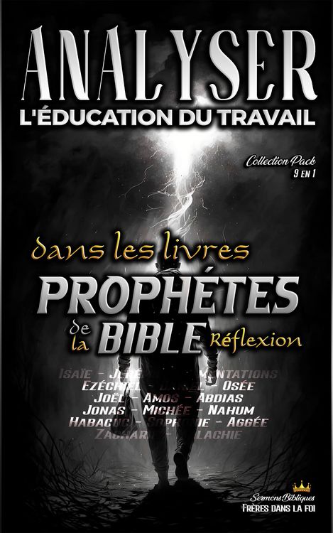 Produktbild: Analyser L'&eacute;ducation du Travail dans les Livres Proph&eacute;tiques de la Bible: R&eacute;flexion (L'&eacute;ducation au Travail dans la Bible)
