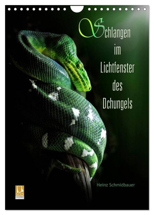Produktbild: Schlangen im Lichtfenster des Dschungels (Wandkalender 2026 DIN A4 hoch), CALVENDO Monatskalender