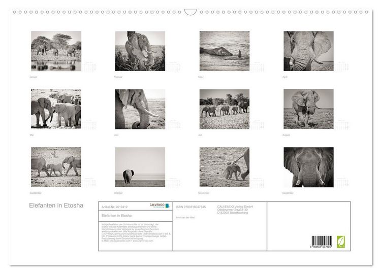 Produktbild: Elefanten in Etosha (Wandkalender 2026 DIN A2 quer), CALVENDO Monatskalender