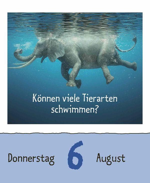 Produktbild: Wie faul ist das Faultier? 2026
