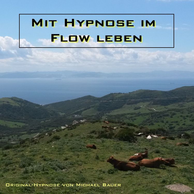 Produktbild: Mit Hypnose im Flow leben