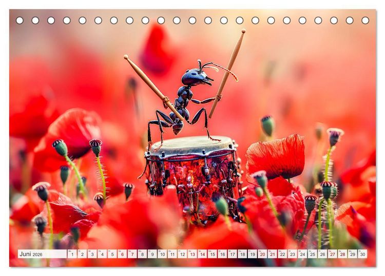 Produktbild: Konzert der Natur - Insekten spielen Musikinstrumente (Tischkalender 2026 DIN A5 quer), CALVENDO Monatskalender