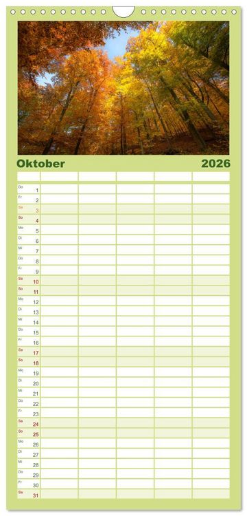 Produktbild: Familienplaner 2026 - Magischer Harzwald mit 5 Spalten (Wandkalender, 21 x 45 cm) CALVENDO