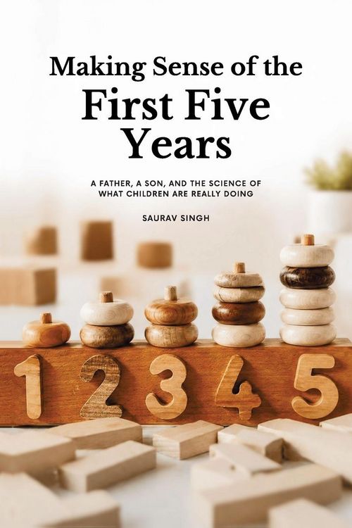 Produktbild: Making Sense of the First Five Years