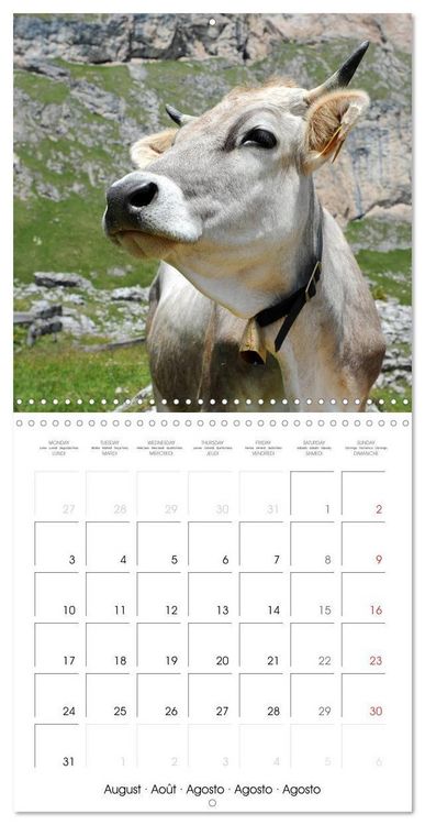 Produktbild: Beautiful Dolomites (Wall Calendar 2026 12 &times; 12 Inch) CALVENDO 12 Month Wall Calendar