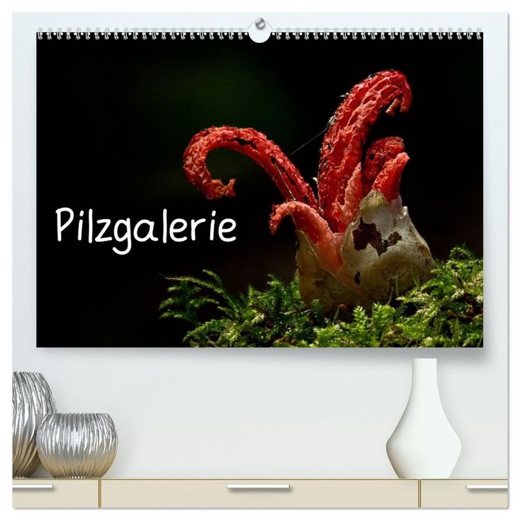 Produktbild: Pilzgalerie (hochwertiger Premium Wandkalender 2027 DIN A2 quer), Kunstdruck in Hochglanz