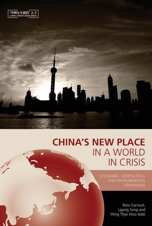 Produktbild: China's New Place in a World in Crisis