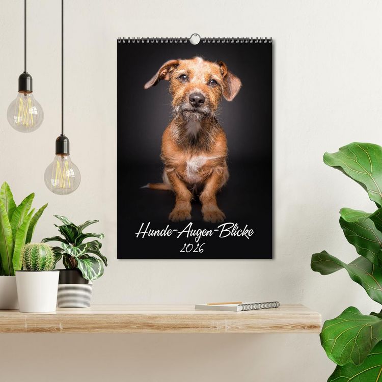 Produktbild: Hunde-Augen-Blicke (Wandkalender 2026 DIN A3 hoch), CALVENDO Monatskalender