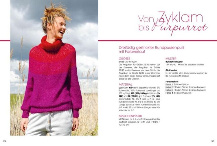 Produktbild: Pullover mit Rundpassen stricken